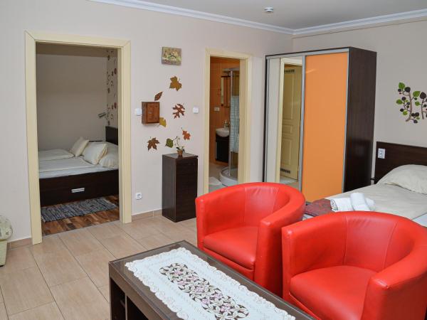 Major Panzió és Étterem : photo 4 de la chambre appartement deluxe
