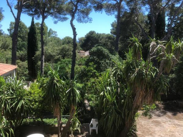 Hôtel De La Mer : photo 1 de la chambre studio standard