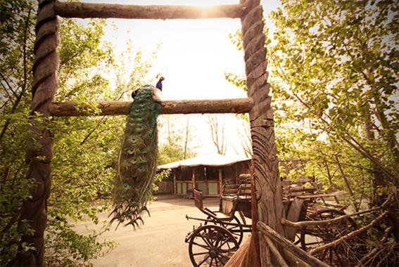 Bamboo Lodge Groningen : photo 5 de la chambre chambre double standard