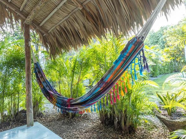 Surf Salvacion : photo 5 de la chambre studio deluxe