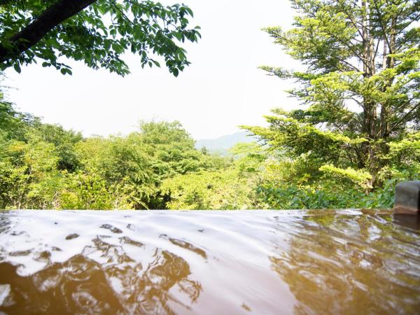 Arima Onsen Motoyu Ryuusenkaku : photo 7 de la chambre japanese style family suite 78sqm with open-air bath - non smoking