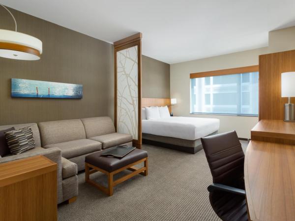 Hyatt Place Chicago/Downtown - The Loop : photo 5 de la chambre chambre lit king-size pour personnes à mobilité réduite avec canapé-lit et baignoire adaptée