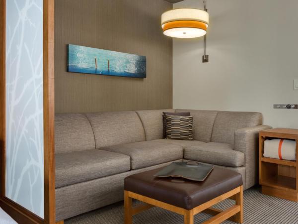 Hyatt Place Chicago/Downtown - The Loop : photo 6 de la chambre chambre lit king-size avec canapé-lit et vue