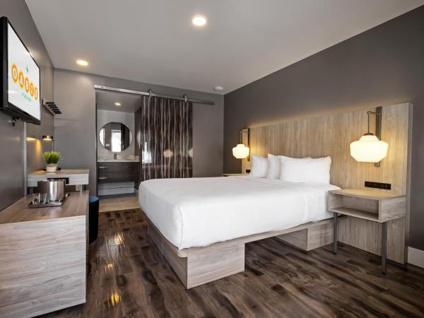 Oasis at Gold Spike : photo 3 de la chambre hébergement lit queen-size côté piscine