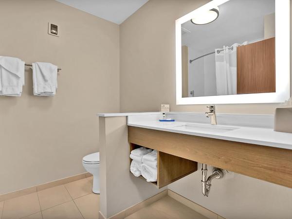 Holiday Inn Express - Jacksonville South Bartram Prk, an IHG Hotel : photo 6 de la chambre chambre lit king-size standard