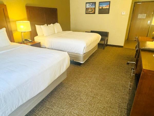 Comfort Inn Downtown : photo 3 de la chambre chambre 2 lits queen-size - non-fumeurs