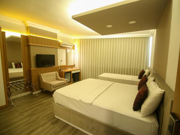 ÇEVİK PALACE HOTEL : photo 1 de la chambre chambre triple standard
