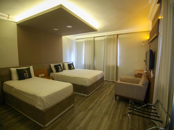 ÇEVİK PALACE HOTEL : photo 6 de la chambre chambre triple standard