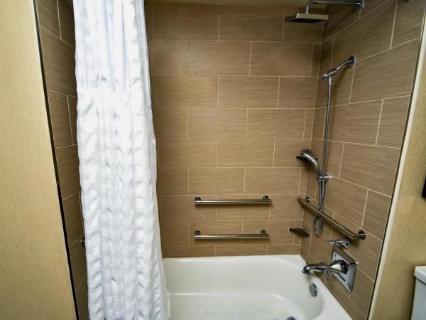 Hilton Austin : photo 7 de la chambre one-bedroom capital king suite with bath tub - mobility accessible