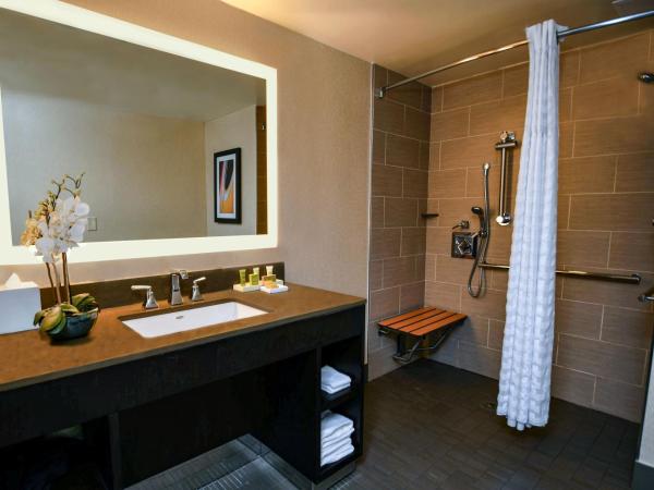 Hilton Austin : photo 5 de la chambre chambre lit king-size avec douche accessible en fauteuil roulant - adaptée aux personnes à mobilité réduite