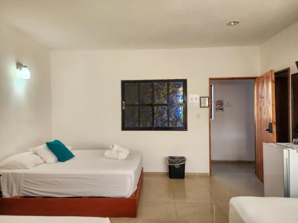 Fitz-Mar : photo 9 de la chambre chambre quadruple Économique