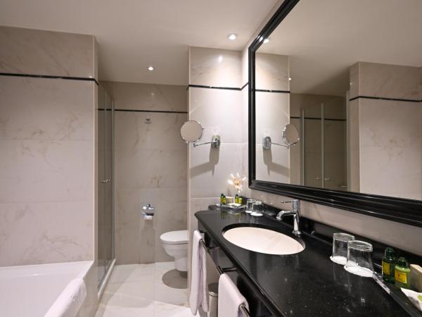 Grand Hotel Casselbergh : photo 6 de la chambre suite familiale « reine catherine »