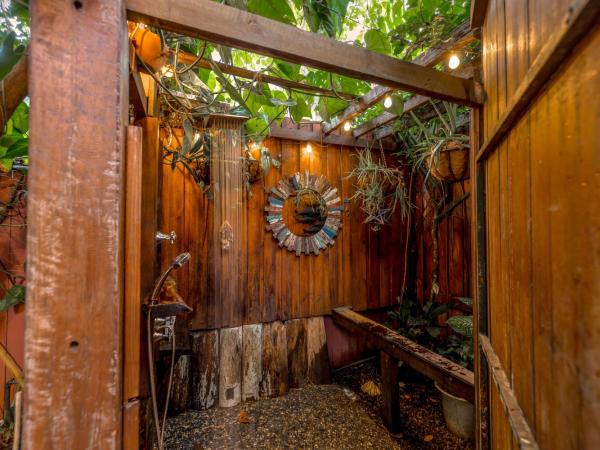 Travellers Oasis : photo 5 de la chambre chambre simple standard avec salle de bains commune