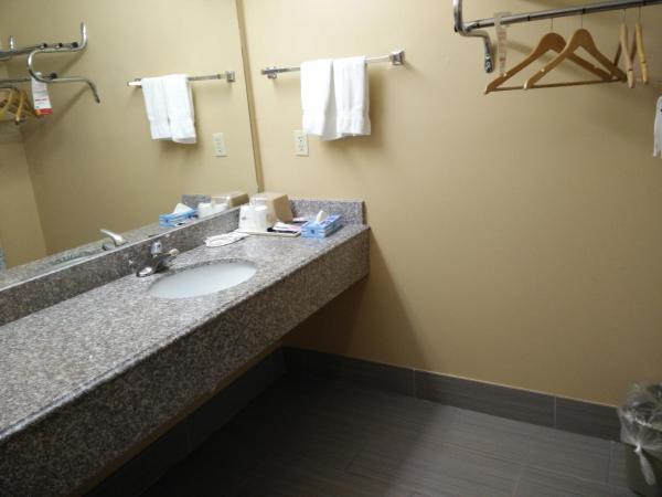 Super 8 by Wyndham Houston/Willowbrook Hwy 249 : photo 1 de la chambre chambre lit king-size - fumeurs