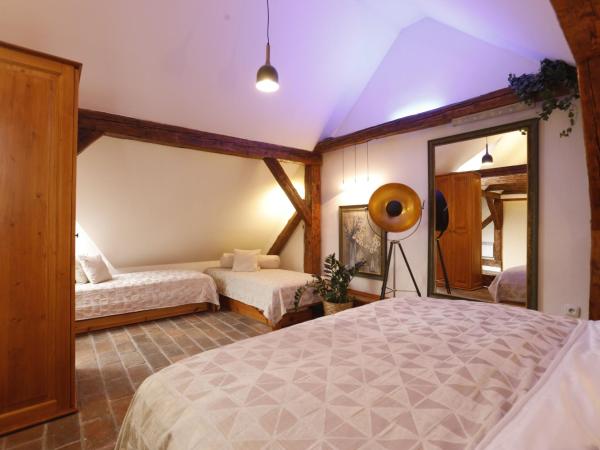 Wellness Pension Ametyst : photo 4 de la chambre appartement mansardé premium avec terrasse - vue sur château