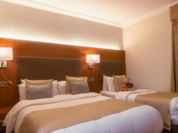 Uppercross House Hotel : photo 1 de la chambre chambre familiale