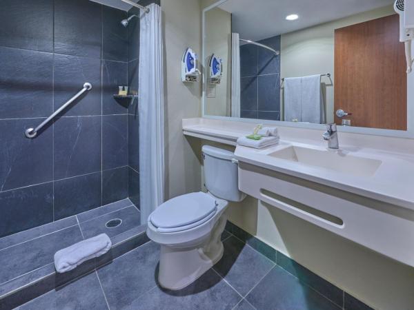 City Express Plus by Marriott Ciudad de México Patio Universidad : photo 8 de la chambre chambre double avec 2 lits doubles