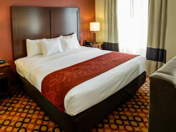 Comfort Suites Airport : photo 2 de la chambre suite lit king-size avec douche accessible en fauteuil roulant - accessible aux personnes à mobilité réduite - non-fumeurs