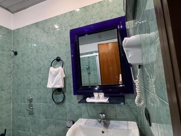 Delle Nazioni Milan Hotel : photo 8 de la chambre chambre simple