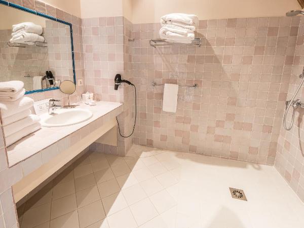 Le Champ des Oiseaux & Spa : photo 7 de la chambre chambre deluxe