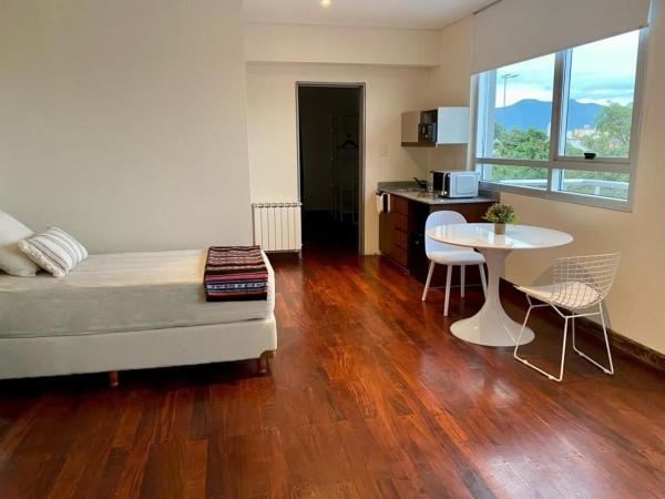 Roomie Salta by DOT Suites : photo 2 de la chambre studio