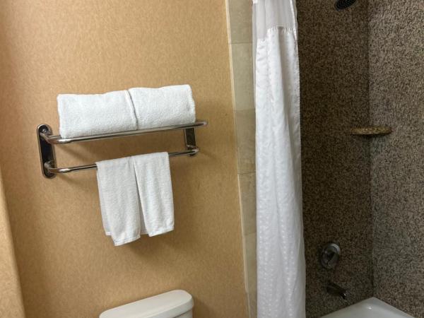 Holiday Inn Express Las Vegas-Nellis, an IHG Hotel : photo 3 de la chambre standard king room with extra space