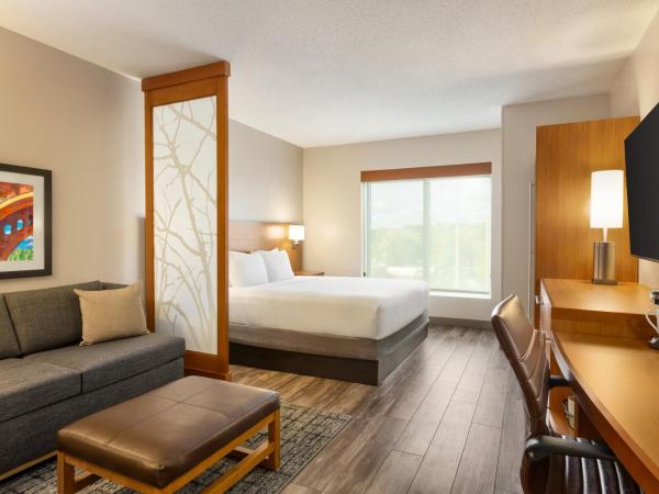 Hyatt Place Columbia/Downtown/The Vista : photo 4 de la chambre chambre lit king-size avec canapé-lit - Étage supérieur