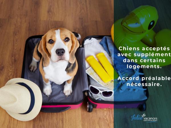 Résid'Azur : photo 1 de la chambre appartement (4 adultes)