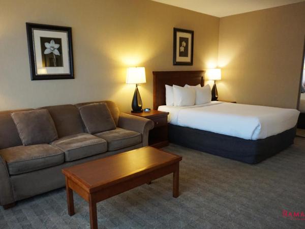 Ramada by Wyndham Kelowna Hotel & Conference Center : photo 4 de la chambre chambre lit queen-size affaires - non-fumeurs