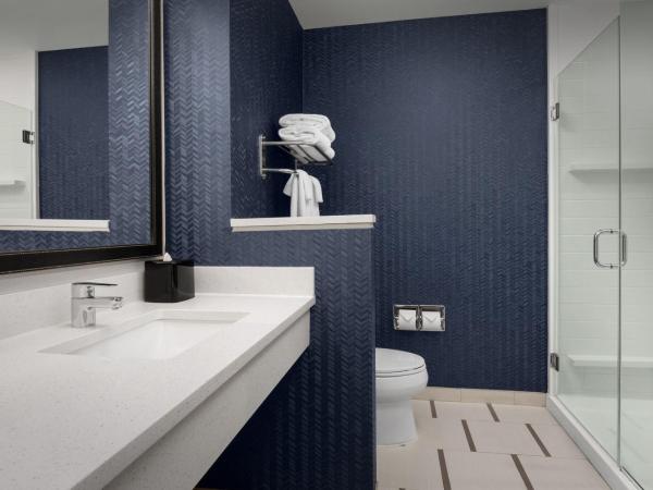 Fairfield Inn & Suites by Marriott Panama City Beach : photo 5 de la chambre chambre lit king-size