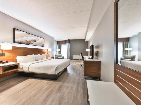 Admiral Inn Mississauga : photo 4 de la chambre chambre lit king-size