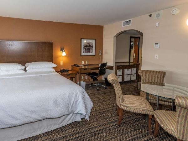 Lakeview Signature, Trademark Collection by Wyndham : photo 1 de la chambre suite lit king-size premier - non-fumeurs