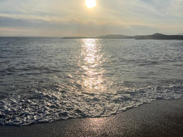 STUDIO PRADO PLAGE PISCINE TERRASSE : photo 1 de la chambre studio avec terrasse