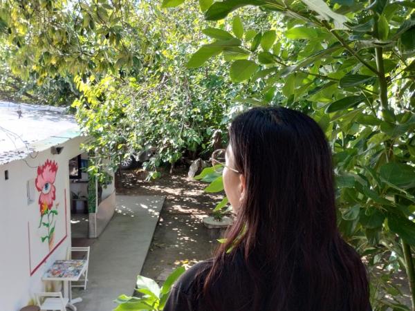 Casa Nuestra Hostal : photo 2 de la chambre chambre quadruple premium