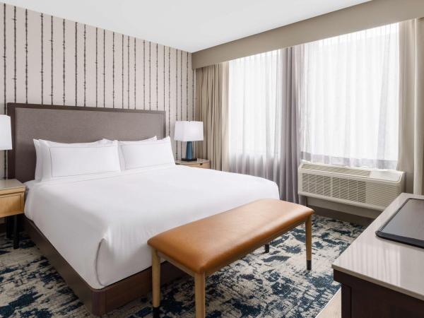 DoubleTree by Hilton Charlotte City Center : photo 2 de la chambre suite studio lit king-size