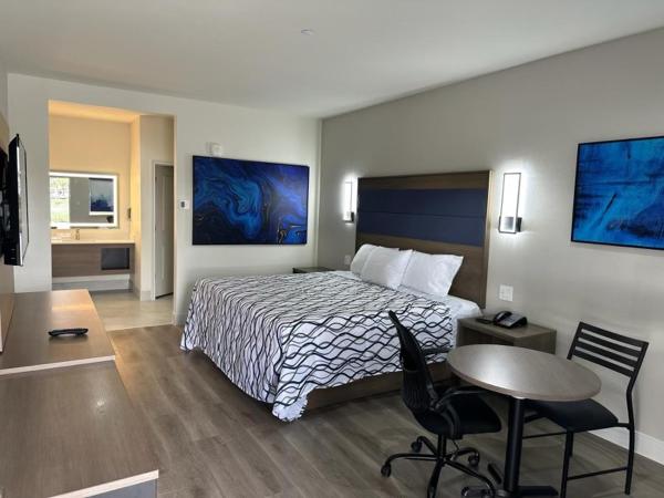 Palace Inn Blue Jones Road & FM1960 : photo 1 de la chambre studio lit king-size