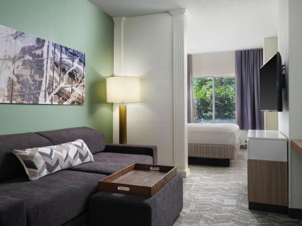 SpringHill Suites Nashville MetroCenter : photo 2 de la chambre suite 1 chambre lit king-size avec canapé-lit