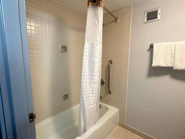 Super 8 by Wyndham Dallas Love Field Airport : photo 3 de la chambre chambre lit king-size pour personnes à mobilité réduite - baignoire avec barres d’appui - non-fumeurs