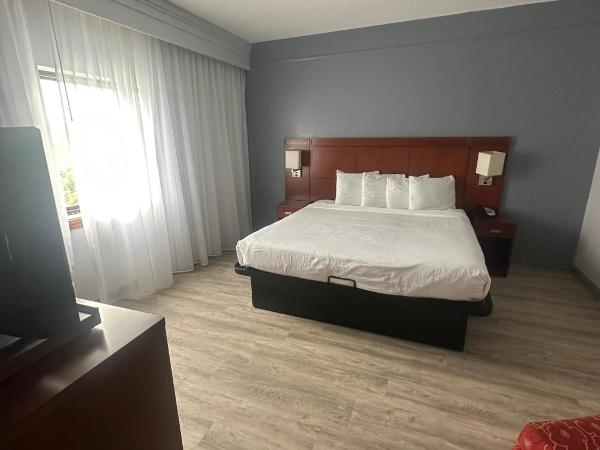 Super 8 by Wyndham Dallas Love Field Airport : photo 4 de la chambre chambre lit king-size pour personnes à mobilité réduite - baignoire avec barres d’appui - non-fumeurs