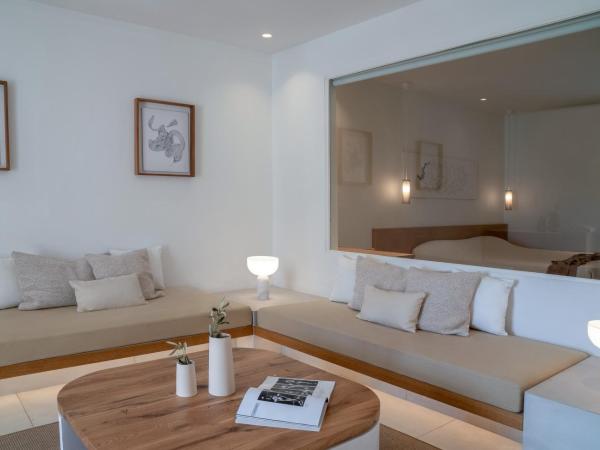 Andronikos Hotel : photo 1 de la chambre suite / garden view