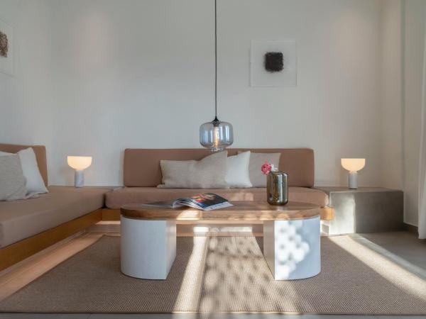 Andronikos Hotel : photo 4 de la chambre suite / garden view