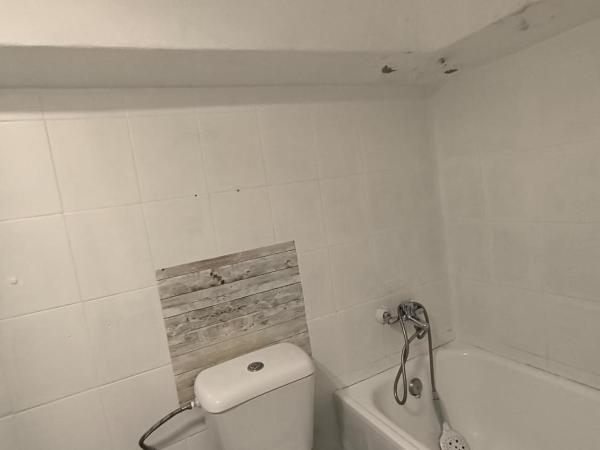 Laughing Seagull : photo 2 de la chambre lit dans dortoir mixte de 4 lits