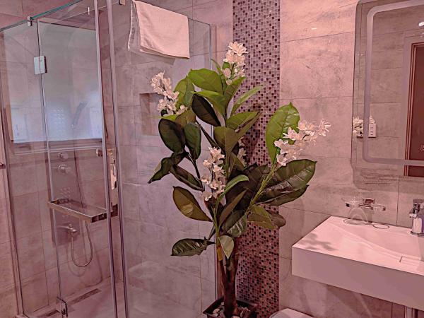 Newlands Court Motel : photo 6 de la chambre appartement 2 chambres