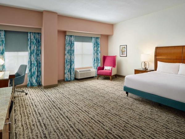 Hilton Garden Inn Atlanta Midtown : photo 1 de la chambre chambre lit king-size avec baignoire - accessible aux personnes à mobilité réduite et adaptée aux personnes malentendantes
