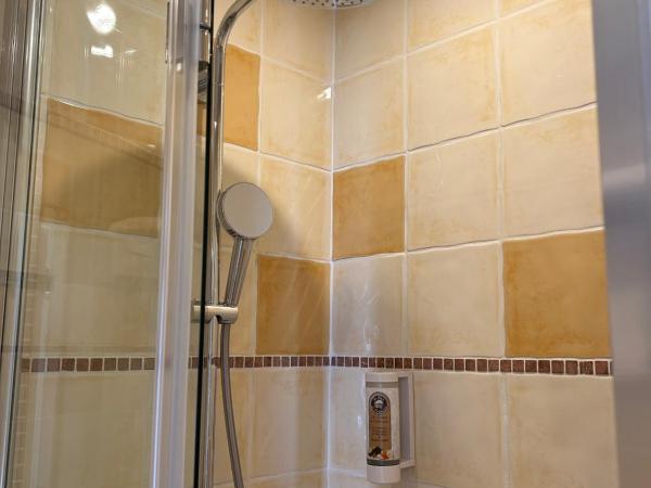 Hôtel du Musée : photo 4 de la chambre chambre simple