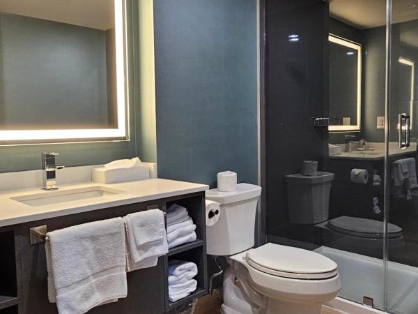 Vittoria Hotel & Suites : photo 4 de la chambre deluxe kitchenette suite 1 king bed and sofa bed