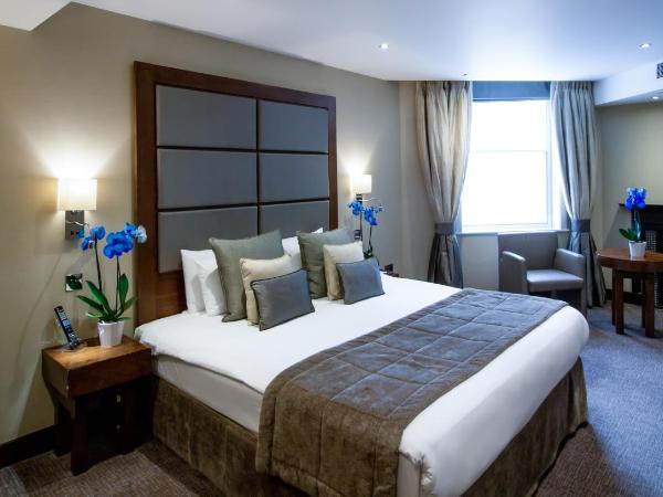 Rochester Hotel by Blue Orchid : photo 1 de la chambre chambre double