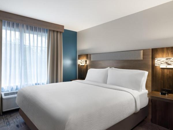 Holiday Inn Express Savannah Airport, an IHG Hotel : photo 6 de la chambre chambre lit king-size standard