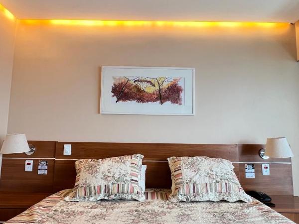 Flat no Condomínio do Edifício Tropical Executive e residence com Vista para o Rio : photo 4 de la chambre studio lit king-size deluxe