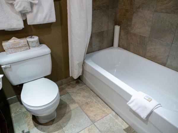 Banff Caribou Lodge and Spa : photo 7 de la chambre chambre standard